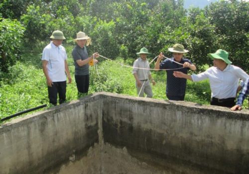 Chăm tôm, tưới cây thời 4.0