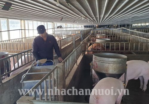 Trung Quốc: Nhập khẩu thịt năm 2021 giảm 5,4%, nguồn cung thịt lợn trong nước tăng vọt