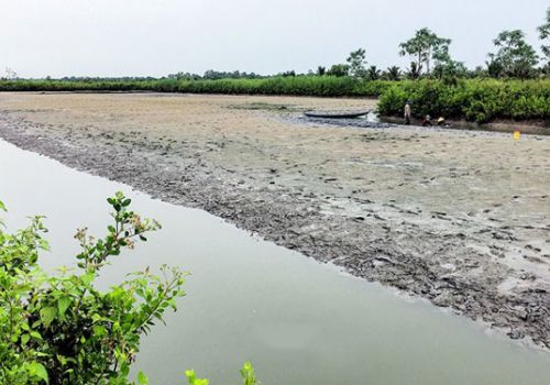 Ðưa giống mới vào đồng ruộng