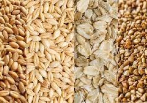 Rabobank: Dự báo giá các loại nông sản chủ yếu trong 10 năm tới vẫn ở mức cao