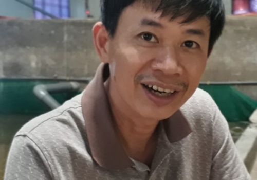 Chuyện nuôi tôm hùm và ốc hương trong bể bằng thức ăn công nghiệp