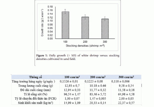 Mật độ nuôi TTCT trên ao lót bạt