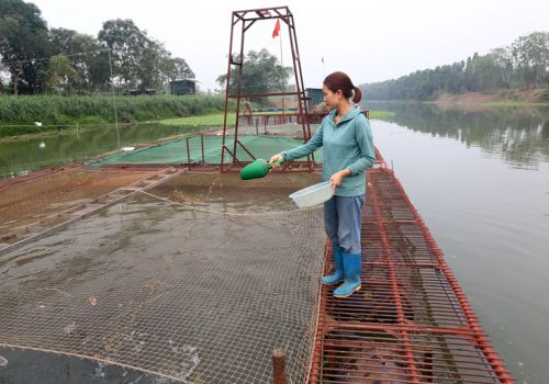 Phát triển thủy sản theo hướng hiện đại, bền vững