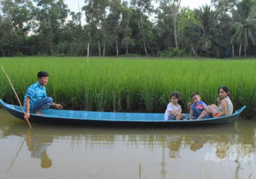 Chuyển đổi mạnh mẽ, đa dạng hóa từ mô hình ‘con tôm ôm cây lúa’