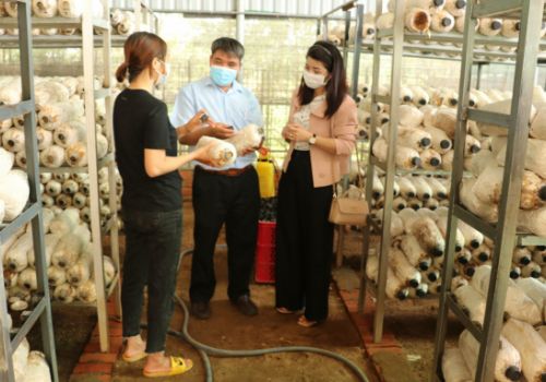 Sẵn sàng kịch bản sản xuất ‘sống chung’ với dịch Covid-19