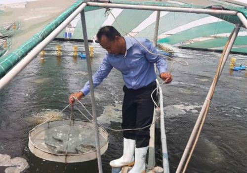 Tỷ phú đất cù lao giàu lên từ con tôm công nghệ cao