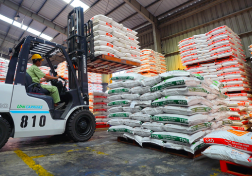 Hiệp hội thức ăn chăn nuôi xin giảm thuế nhập khẩu nguyên liệu để 'cứu' ngành chăn nuôi