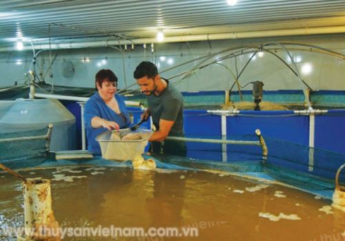 Ngăn ngừa mầm bệnh trong trại sản xuất giống