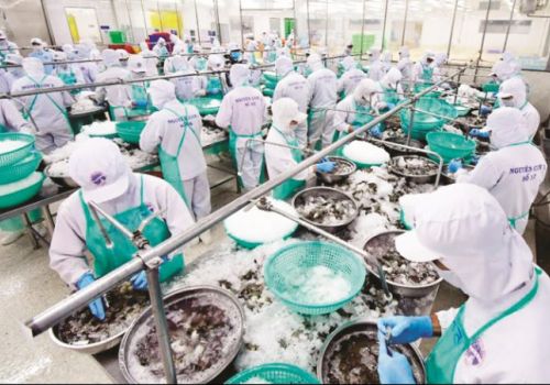 Tăng tốc để khôi phục sản xuất thủy sản sớm nhất có thể