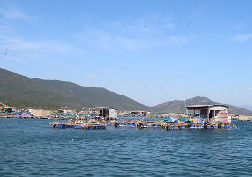 Lồng nuôi bằng vật liệu HDPE: ‘Chìa khóa’ nuôi trồng thủy sản bền vững