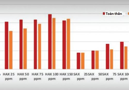 Astaxanthin vi tảo: Nguồn thức ăn quý giá cho tôm thẻ