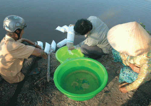 Nguyên tắc nuôi tôm hữu cơ