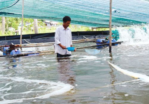 Nguyên tắc “5 đúng” trong phòng và trị bệnh thủy sản