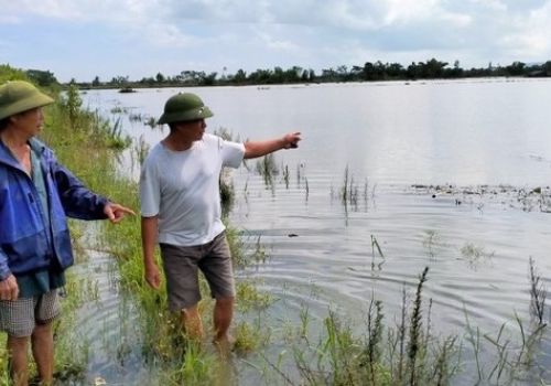 Những ao tôm bị “cuốn trôi”: Người nuôi trắng tay sau mưa lũ