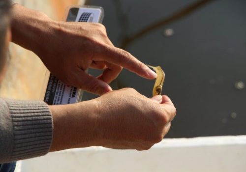 Bệnh đường ruột trên tôm và biện pháp xử lý triệt để