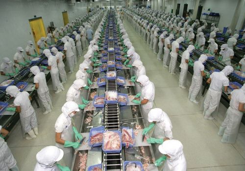 Ba kiến nghị VASEP gửi Thủ tướng Chính phủ và Bộ TN&MT