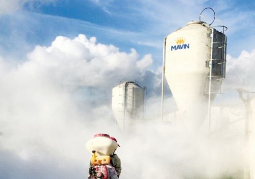 Biến thể của virus gây Dịch tả heo Châu Phi ở Trung Quốc