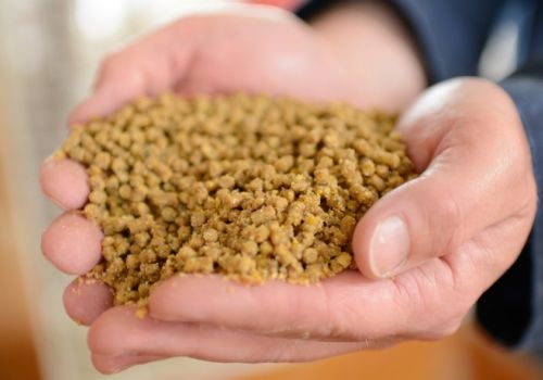 Đồng Nai: Nhập khẩu thức ăn gia súc và nguyên liệu từ Nam Mỹ chiếm hơn 50%