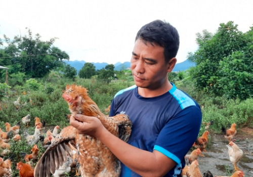 Quảng Ninh với tham vọng quy hoạch vùng chăn nuôi an toàn quy mô lớn