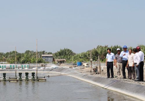 Nuôi tôm công nghệ cao, lợi nhuận tăng 3 – 5 lần so với nuôi ao đất