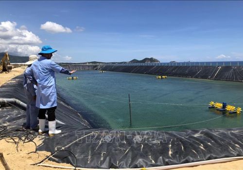 Bàn giải pháp phát triển chăn nuôi và thủy sản trong tình hình mới