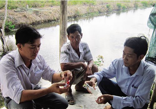 Một số giải pháp kỹ thuật giảm thiểu rủi ro nuôi tôm QCCT kết hợp