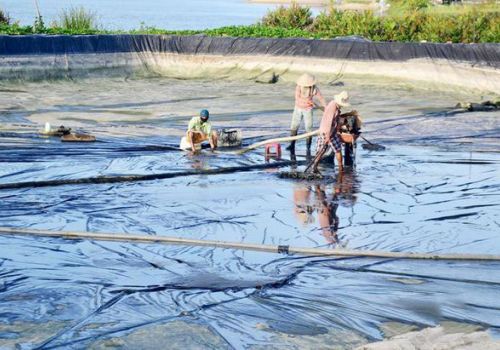 Nuôi trồng thủy sản vào vụ mới