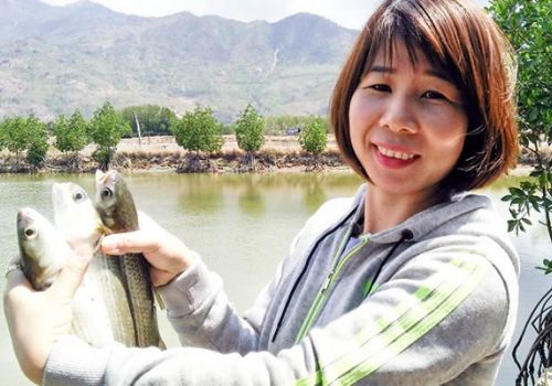 Khánh Hòa: Nuôi kết hợp tôm sú với cá đối mục: Hạn chế ô nhiễm môi trường ao nuôi