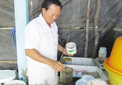 Kinh nghiệm nuôi tôm thành công trong vùng dịch bệnh