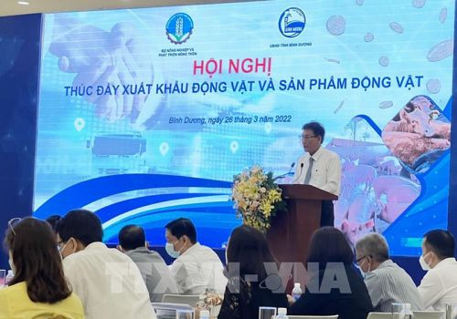 Thúc đẩy chuỗi dự án chăn nuôi gắn với chế biến phục vụ xuất khẩu