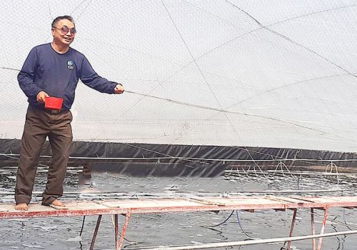 Mô hình nuôi tôm công nghệ cao của một thương binh khiếm thị