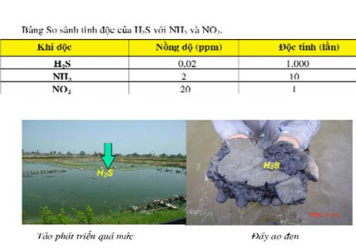 Phòng ngừa và xử lý H2S