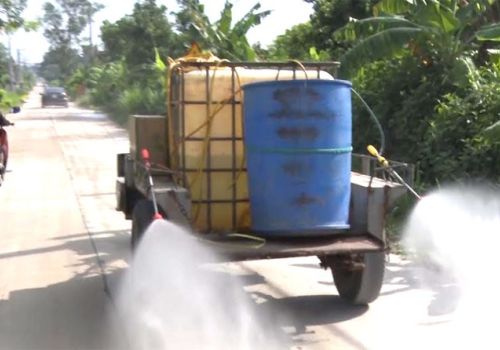 Lợn nhiễm tả lợn Châu Phi lại xuất hiện ở Đồng Nai