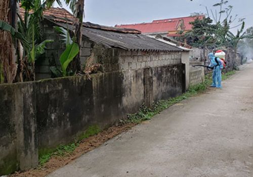 Phòng, chống dịch bệnh cho đàn vật nuôi: Cần tích cực và quyết liệt hơn nữa