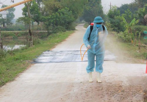 Hà Nội: Toàn thành phố có 277 trang trại liên kết sản xuất – tiêu thụ sản phẩm