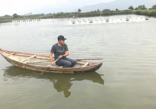 Dịch bệnh thủy sản: Phòng hơn chống