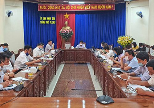 Gia Lai: Pleiku triển khai biện pháp phòng-chống dịch viêm da nổi cục trên trâu, bò