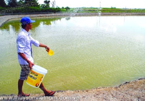 Quản lý đáy ao nuôi hiệu quả