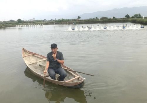 Thời tiết bất thuận, người nuôi tôm Bình Định dè dặt xuống giống