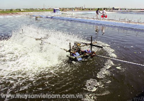 Công nghệ phát hiện tồn dư kháng sinh trong sản phẩm thủy sản