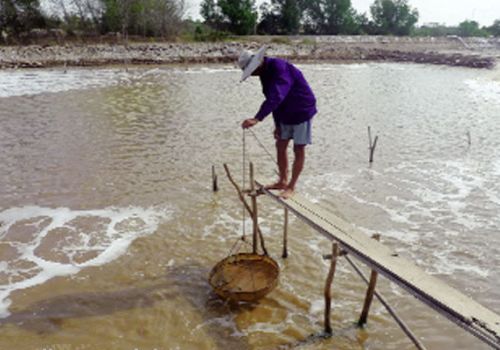 Quản lý thức ăn hiệu quả
