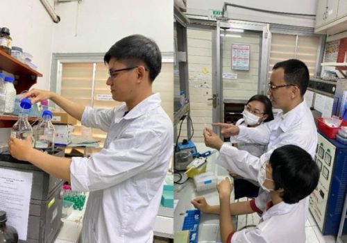 Que thử phát hiện nhanh bệnh trên tôm