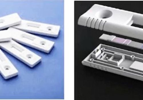 Phát hiện nhanh bệnh hoại tử gan tụy cấp ở tôm bằng que thử chỉ trong 5 phút