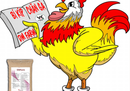 Sự thật về gà có thể bạn chưa biết???