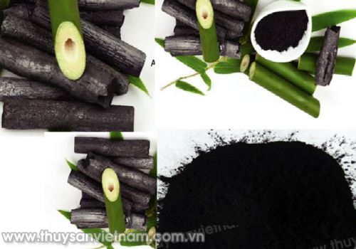 Sử dụng bột than tre trong hệ thống RAS