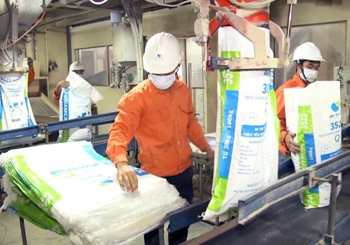 Hà Nội: Quản lý chặt thức ăn chăn nuôi