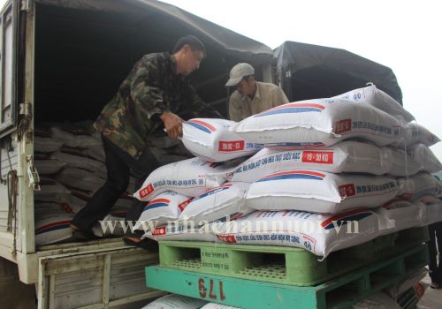 Giá TACN “leo thang”: Người chăn nuôi đối mặt nguy cơ thua lỗ