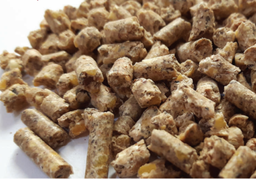 Vì sao người chăn nuôi gà thích sử dụng thức ăn ép viên hơn thức ăn bột