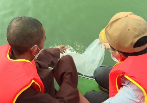 Phú Yên: Thả 1 triệu con giống tôm sú tái tạo nguồn lợi thủy sản