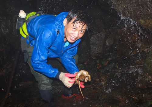 Nhiều khó khăn trong cứu hộ động vật hoang dã